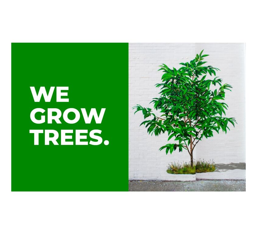 WeGrowtreespic